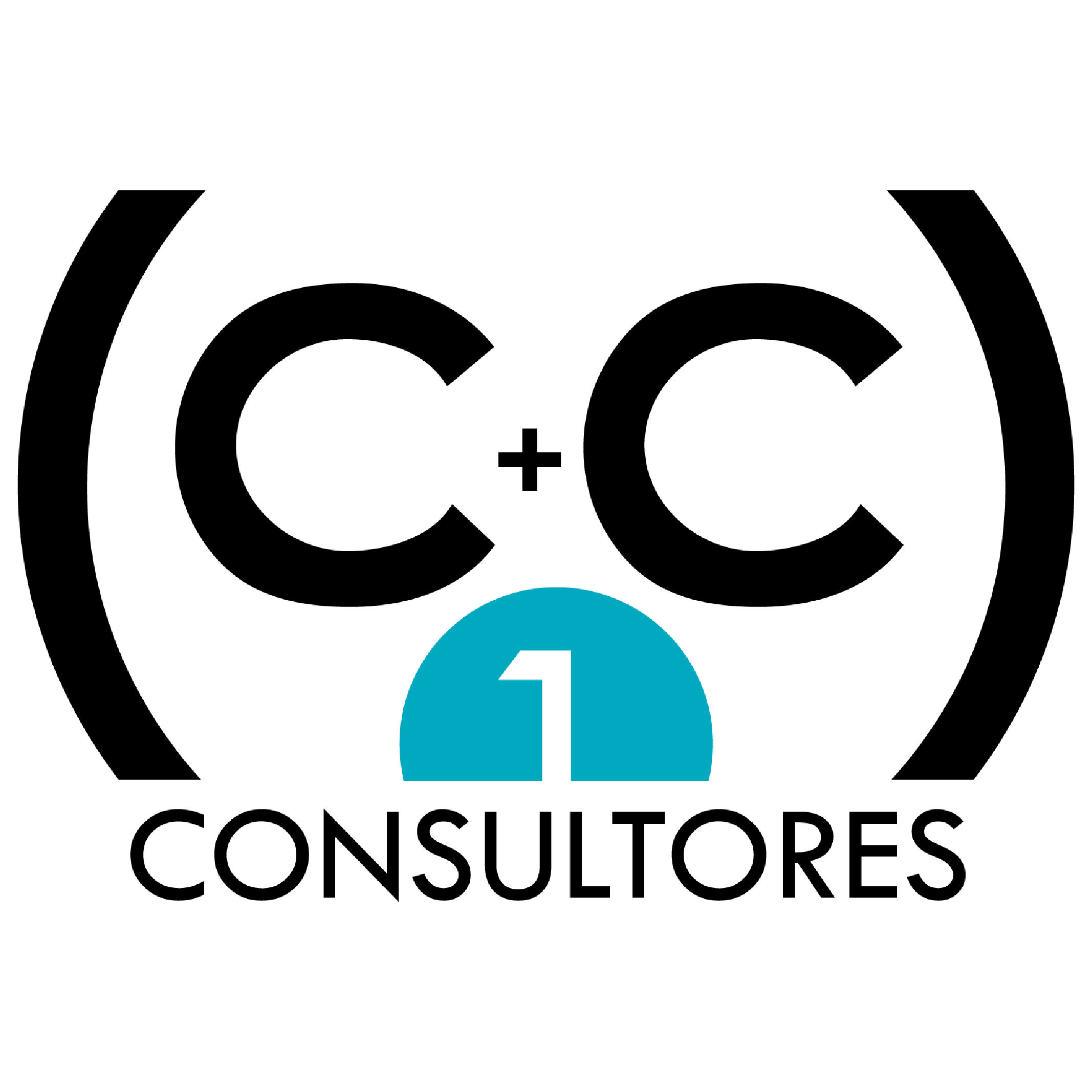 C+C 1 Consultores
